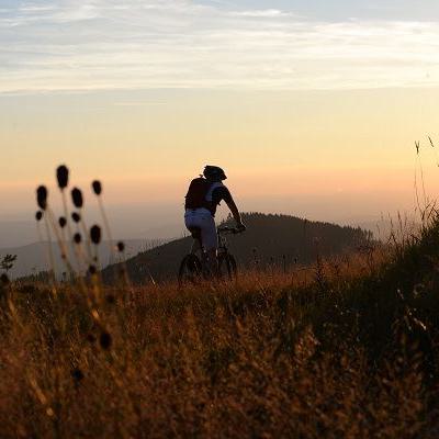 Trans Buchonia Mountainbike Trails Touren Rhön