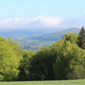 Trans Buchonia Mountainbike Trails Touren Rhön